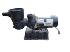 Pentair Optiflo Pool Pump and Motor High Perf...