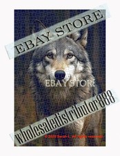 1000 piece jigsaw puzzle Gray wolf face wilderness wildlife