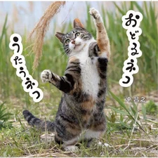 Dancing cat Singing cat