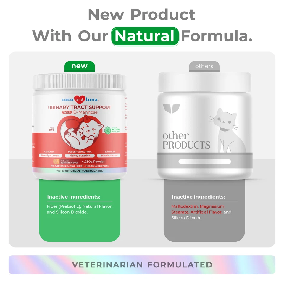 Arándano para gatos soporte para incontinencia, soporte del tracto urinario, infección urinaria de gato, vejiga Foto 4 de 4