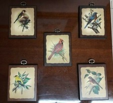 Vintage Ph Gonner Wood Wooden Birds Bird Prints Plaque  - Lot Of 5