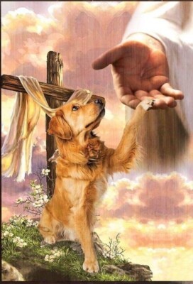 Inspirational dog refrigerator magnet    3 1/2 '' x 4 1/2 ''  USA Golden Retriever