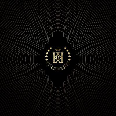 Sammelauflösung von 250 Fan Deluxe Boxen Rap, Pop, Rock, Metal, Dance, Raggae