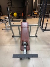 panca inclinata technogym silver line