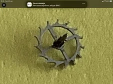 CHAIKA 1300/1301 ESCAPE WHEEL