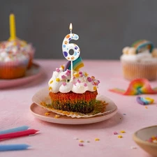 69th birthday white number dog paw candle birthday cake candle decoration