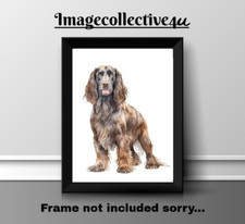 FIELD SPANIEL PET A4 PRINT PICTURE POSTER  WALL ART HOME DECOR NEW UNFRAMED GIFT