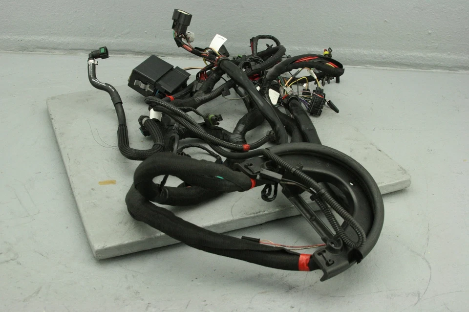 Arnés de cableado principal Victory Cross Roads 2011 2411520 video #4087 Foto 4 de 4