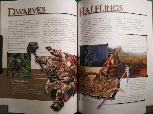 An Adventurer's Guide to Eberron - Softcover - Dungeons & Dragons - D&D - AD&D - Imagen 22 de 24