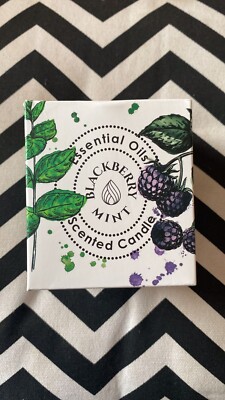 Diptyque Candle Dupe SORRY NOT SORRY Diptyque Baies Candle Dupe