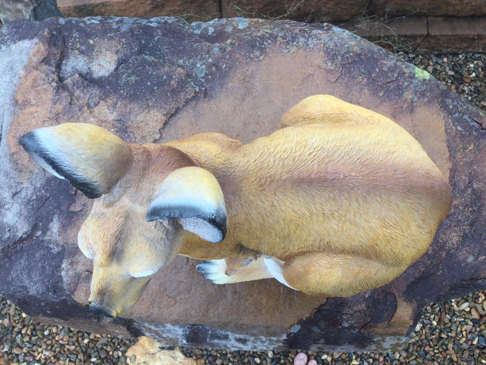 37cm Kangaroo with Joey Marsupial Roo Macropod Ornament - image 4 of 4