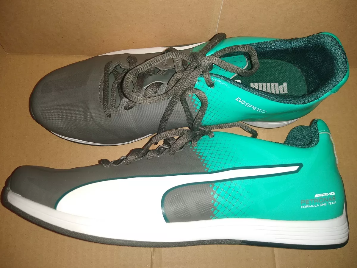 Puma evospeed best sale mercedes