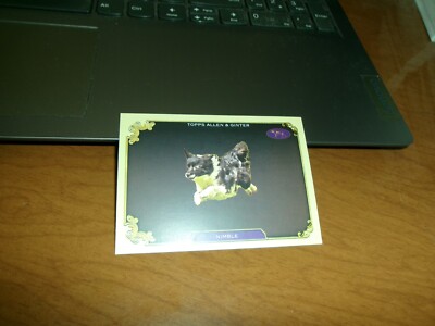 2024 TOPPS ALLEN & GINTERS WESTMINSTER KENNEL CLUB BEST IN SHOW INSERT- NIMBLE