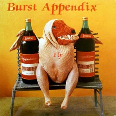 BURST APPENDIX - FLY MLP (1989) HUMAN WRECHORDS / PUNK / HARDCORE