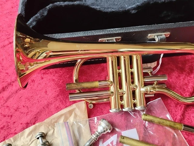 Blessing XL Shepherd's Crook Cornet in Brass Lacquer - Image 2 of 4