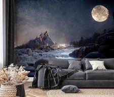 3D Sky Moon River Winter Night Scene Wall Mur...