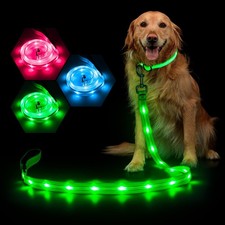 Glowing Light Up LED Dog Leash - 4ft USB Rechargeable Flashing Nylon Leash fo...