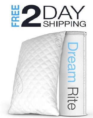 dreamrite pillow