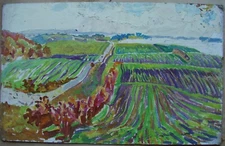 Ukrainian Soviet USSR Oil Painting postimpressionism Landscape field harvest