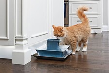 Petsafe Drinkwell Pagoda Blue Ceramic Cat Fou...