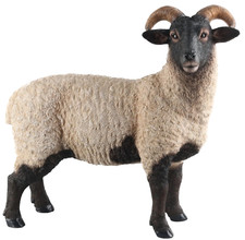 Norfolk Sheep Ornament Garden Resin Statue Home Decor Figurine Large 43x47cm
