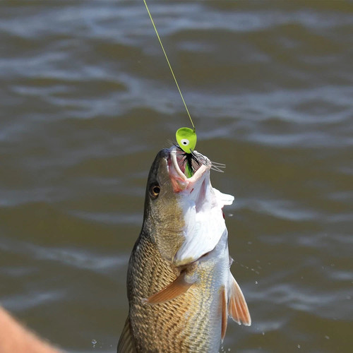 Popper da pesca a mosca, esche da pesca in acqua superiore Bass Crappie Bluegill Sunfish Panfis - Foto 4 di 5