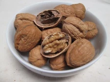 Raw Jumbo Walnuts in Shell(Bleached), 25 lbs / case-greenbulk