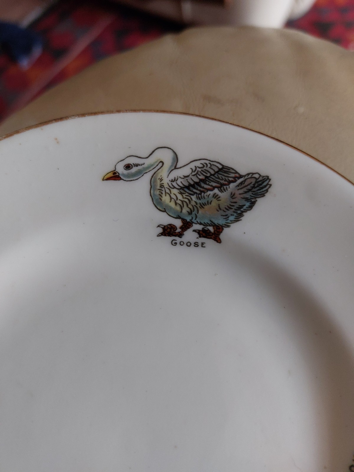 Picture 4 of 5