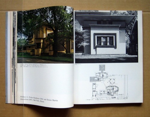 GI Global Interior #9, Houses by Frank Lloyd Wright 1 / 1975, 1976, - Picture 8 of 11