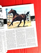 1972 QUARTER HORSE JOURNAL - RACE ISSUE - 9 Pg JET DECK Info Pics + LAST PHOTO!
