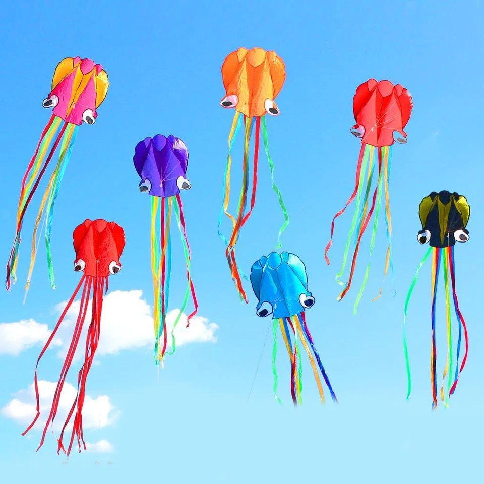 Cerfs-volants de sport avec longue queue colorée pour enfants, 4 m, simple - Photo 1/1