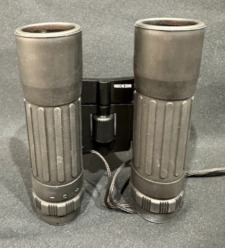 Humvee 12X25 DCF 96M/1000M Binocolo Compatto Tascabile Portatile con Custodia - Foto 10 di 10