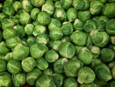 Brussel Sprouts, Long Island Improved  100 - 125  NON - GMO Seeds Heirloom