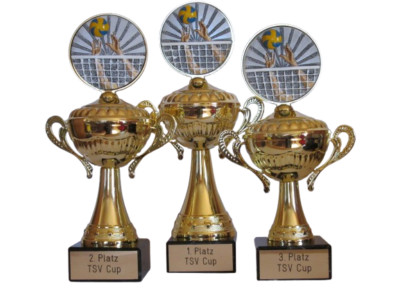 3 Volleyball-Henkelpokale mit Resin-Emblem und mit Ihrer Wunschgravur (HE)