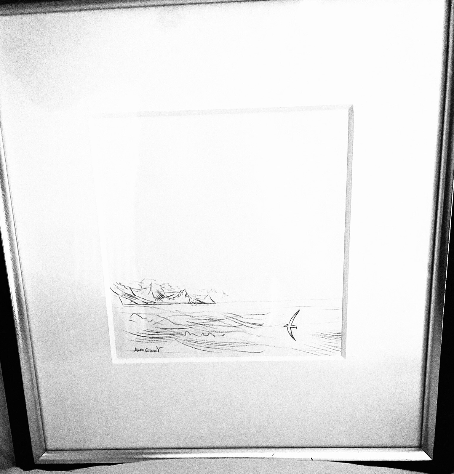 Picture 8 of 8