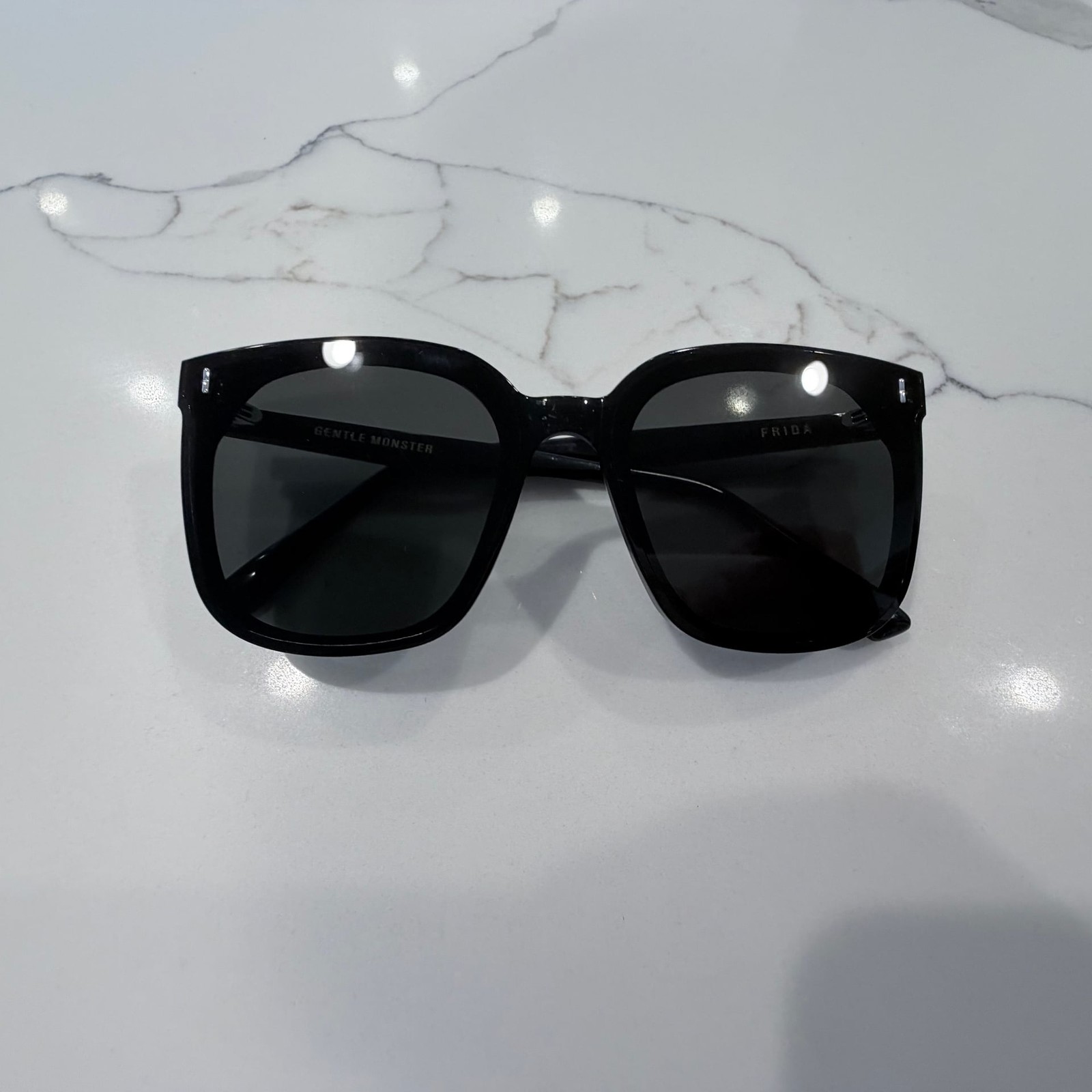 Gentle Monster Frida 01 Oversized Square Sunglasses Black