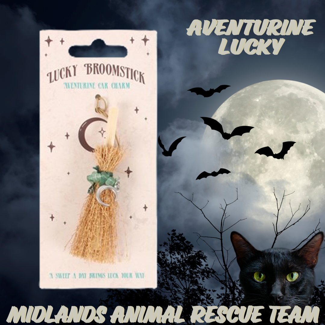 Crystal Broomstick Car Charm - Lucky - Aventurine - Sale For Our Animal Charity