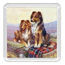 SHETLAND SHEEPDOG SHELTIE Dog Acrylic Coaster Novelty Drink Cup Mat Great Gift