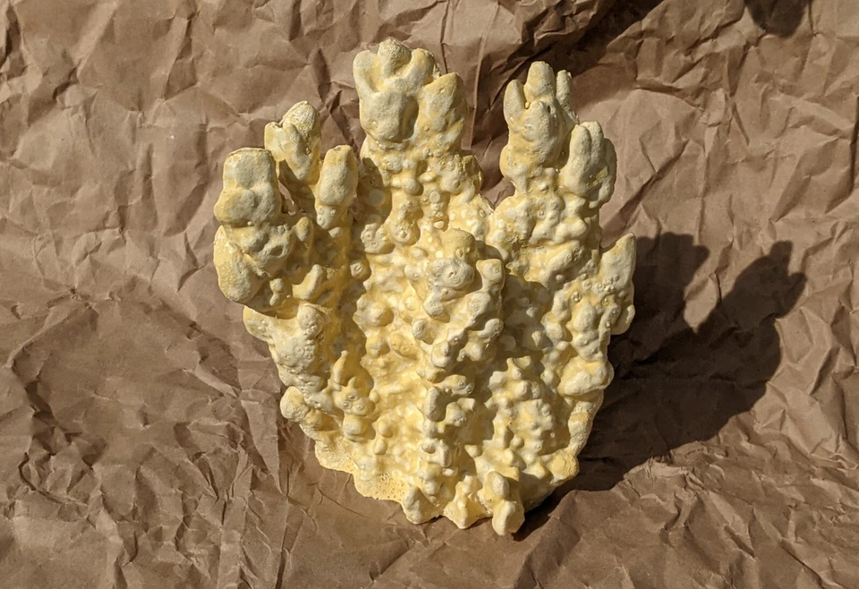 2~Pecera Coral Artificial Nuevo Foto 4 de 4