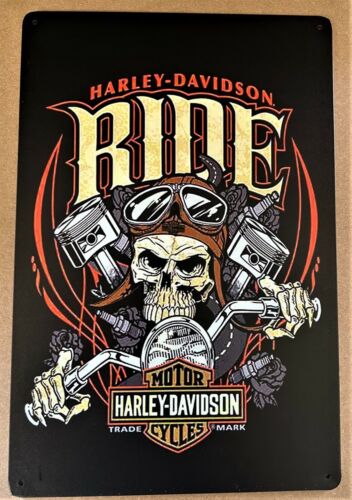 Harley Death Skull Tin Sign Pan Knuckle Fat Sportster Twin Hog Soft Hard CGA12 - 第 1/1 張圖片