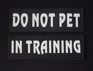 2  PATCHES - DO NOT PET + IN TRAINING