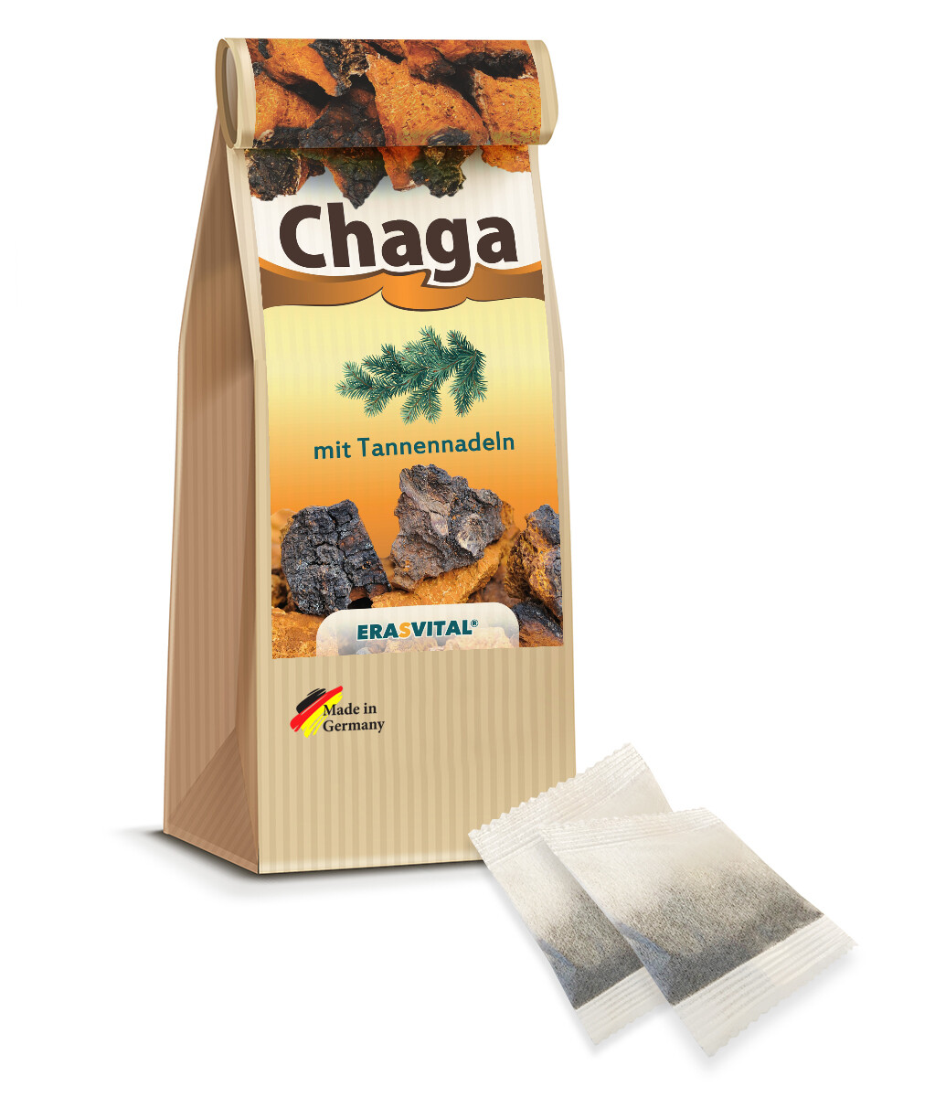 CHAGA - verdadero hongo de abedul siberiano con agujas de pino en bolsa de té, naturaleza vegana