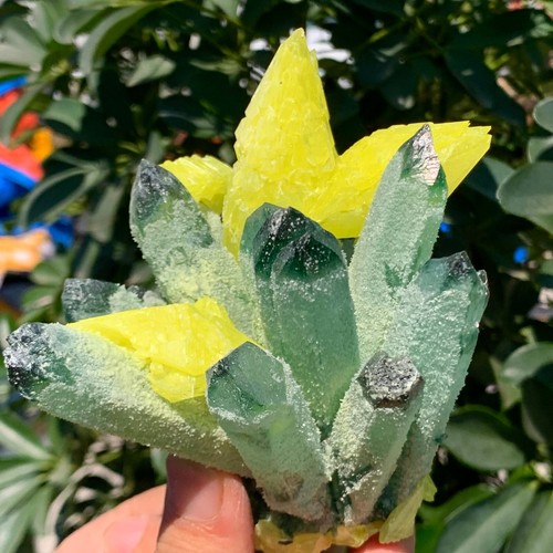 Cuarzo fantasma verde nuevo de 1,36 lb con muestra mineral en racimo de azufre amarillo - Imagen 13 de 15