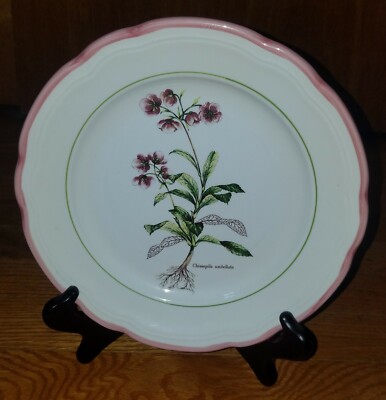 Primula ''Chimapila Umbellata PRL10'' Floral Pattern 8.5'' Salad Plates (4) Italy