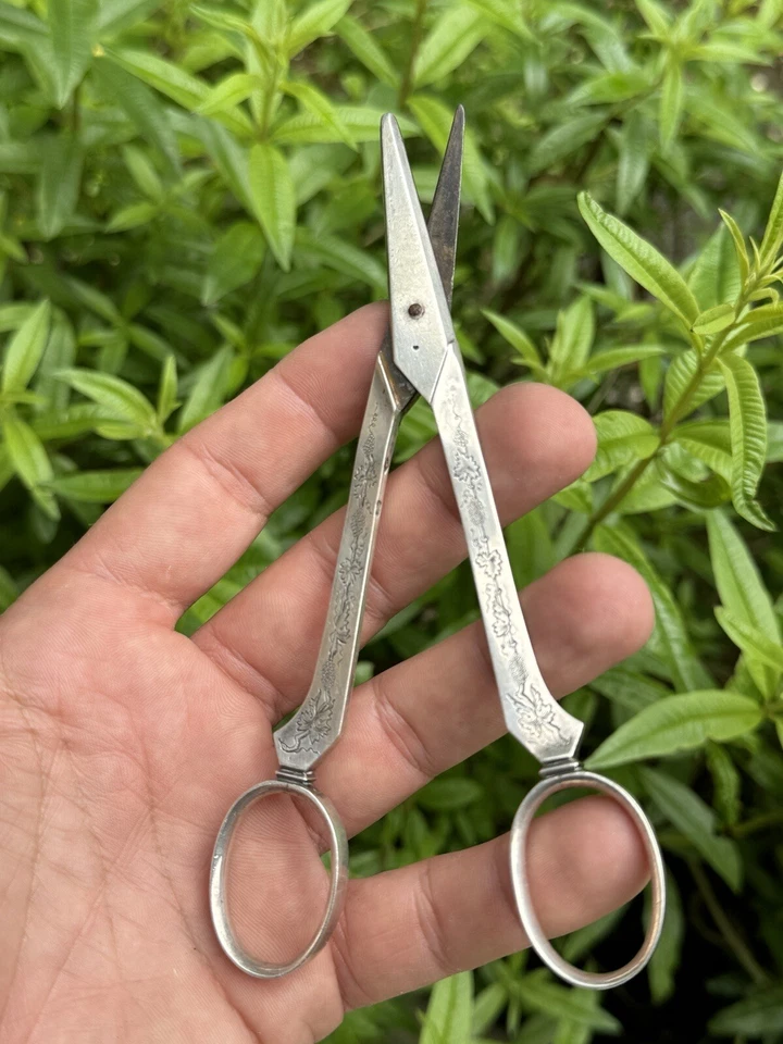 Ancienne Paire De Ciseaux Argent Massif à Raisin & Minerve & France & Argenterie - Photo 4/4