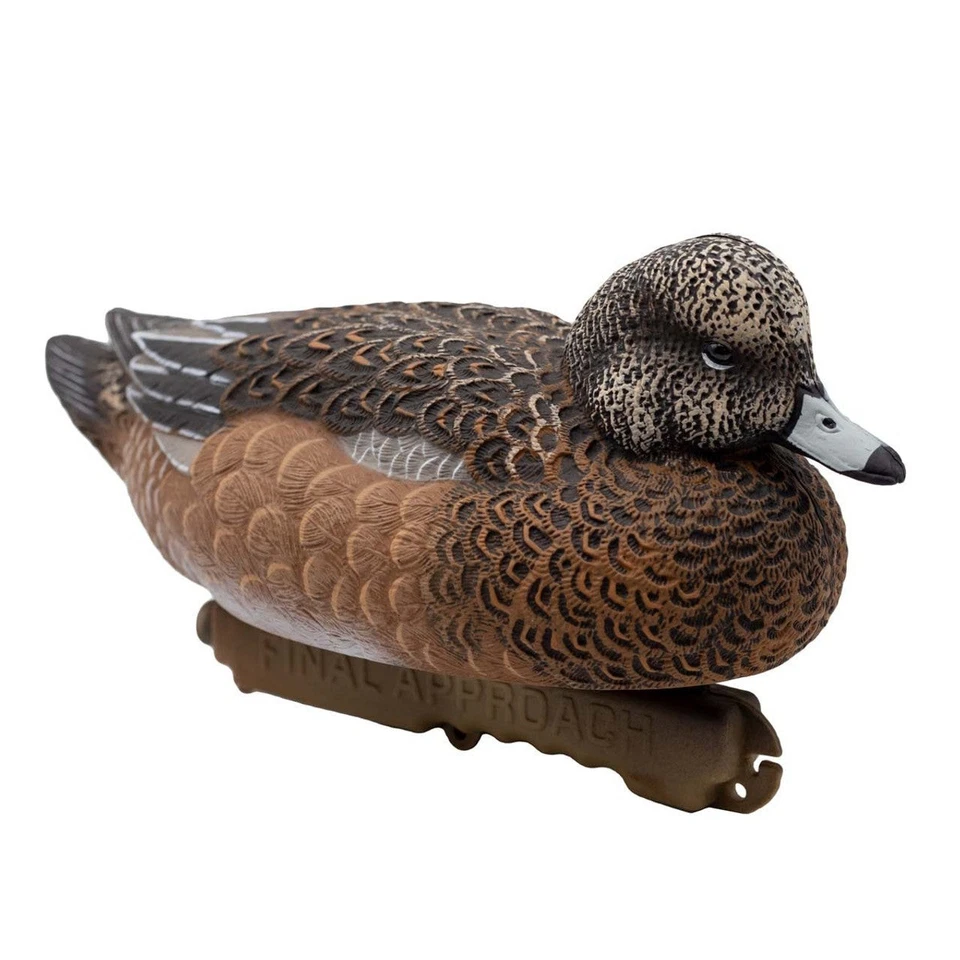 Eurasian Wigeon Duck Decoys - 6 Pack - Image 2 of 4