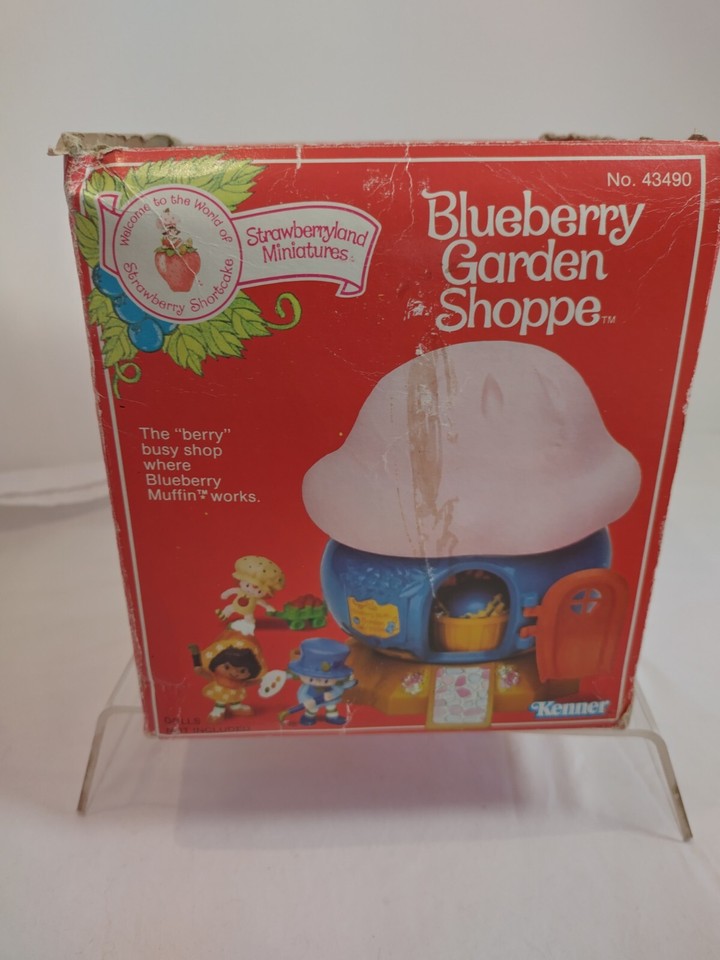 Strawberry Shortcake BlueBerry Garden Shoppe With Accessories In Box