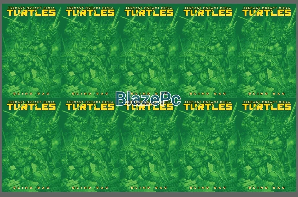 Teenage Mutant Ninja Turtles #13 Blind Bag Bundle F Options IDW Publishing 2025