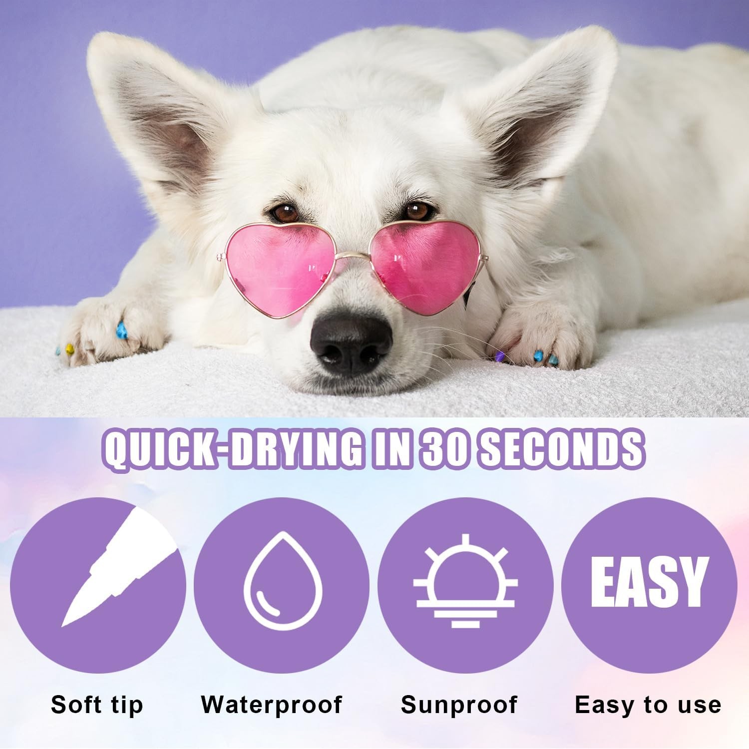 Dog Nail Polish Pens Quick Dry, 12 Colors Safe Set Acrylic... 