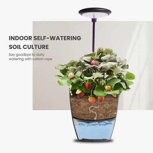 iDOO 2-en-1 Sistema Hidropónico y de Cultivo del Suelo, 6 Vainas Interior Hierba Jardín Contador Foto 4 de 4